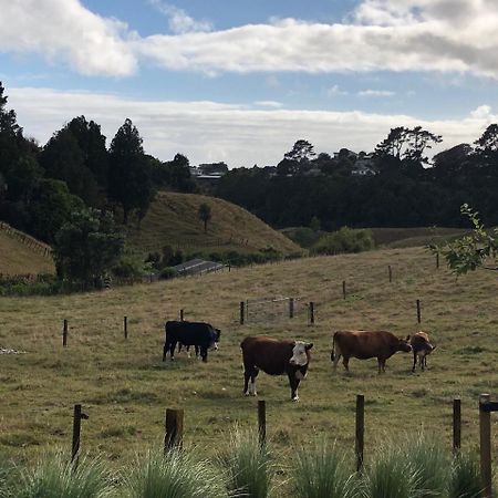 Pukeko Lodge Bnb New Plymouth Luaran gambar