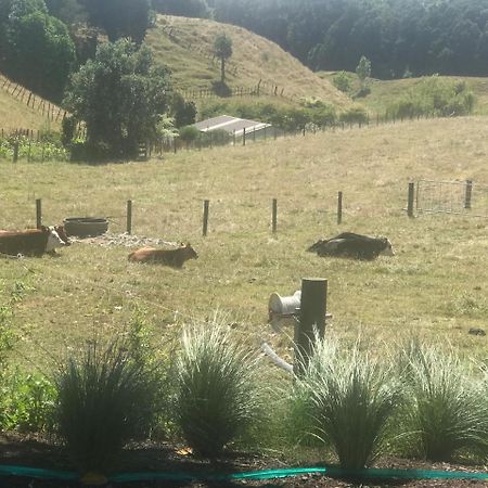 Pukeko Lodge Bnb New Plymouth Luaran gambar