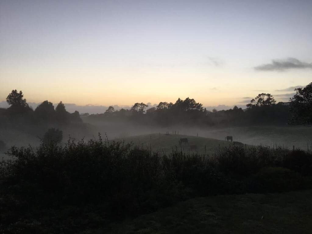 Pukeko Lodge Bnb New Plymouth Luaran gambar