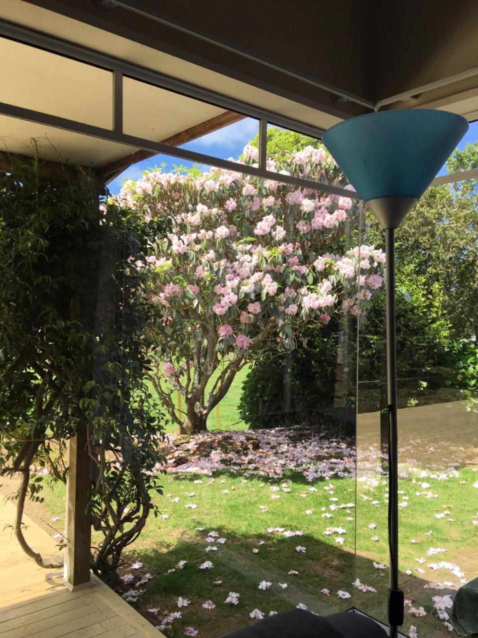 Pukeko Lodge Bnb New Plymouth Luaran gambar