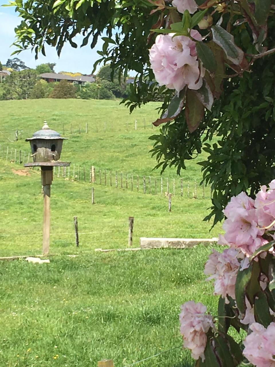 Pukeko Lodge Bnb New Plymouth Luaran gambar