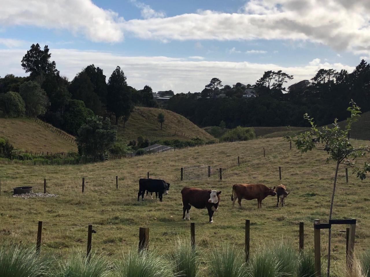 Pukeko Lodge Bnb New Plymouth Luaran gambar