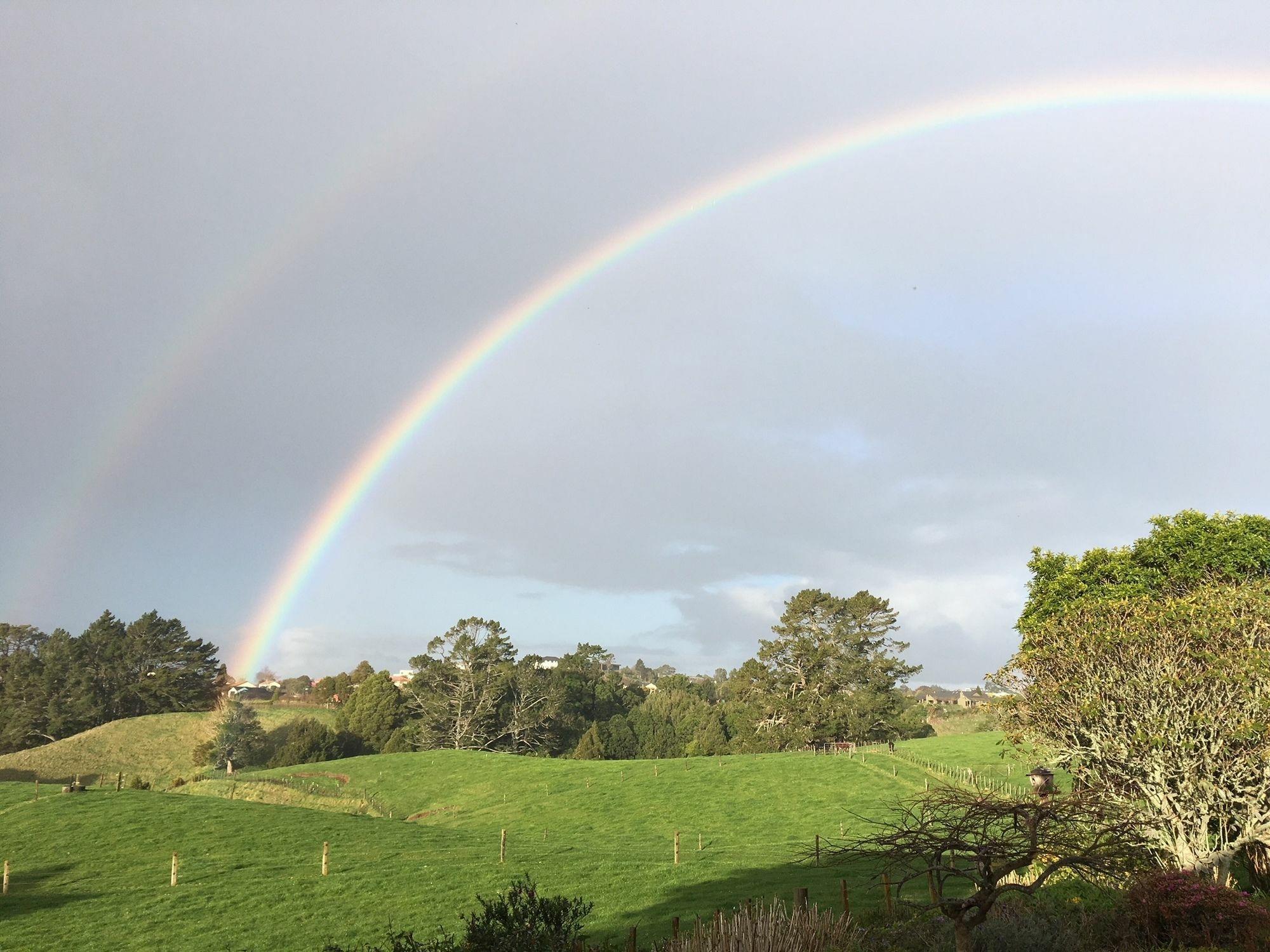 Pukeko Lodge Bnb New Plymouth Luaran gambar